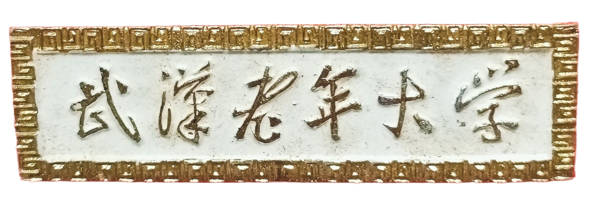 武汉老年大学校徽