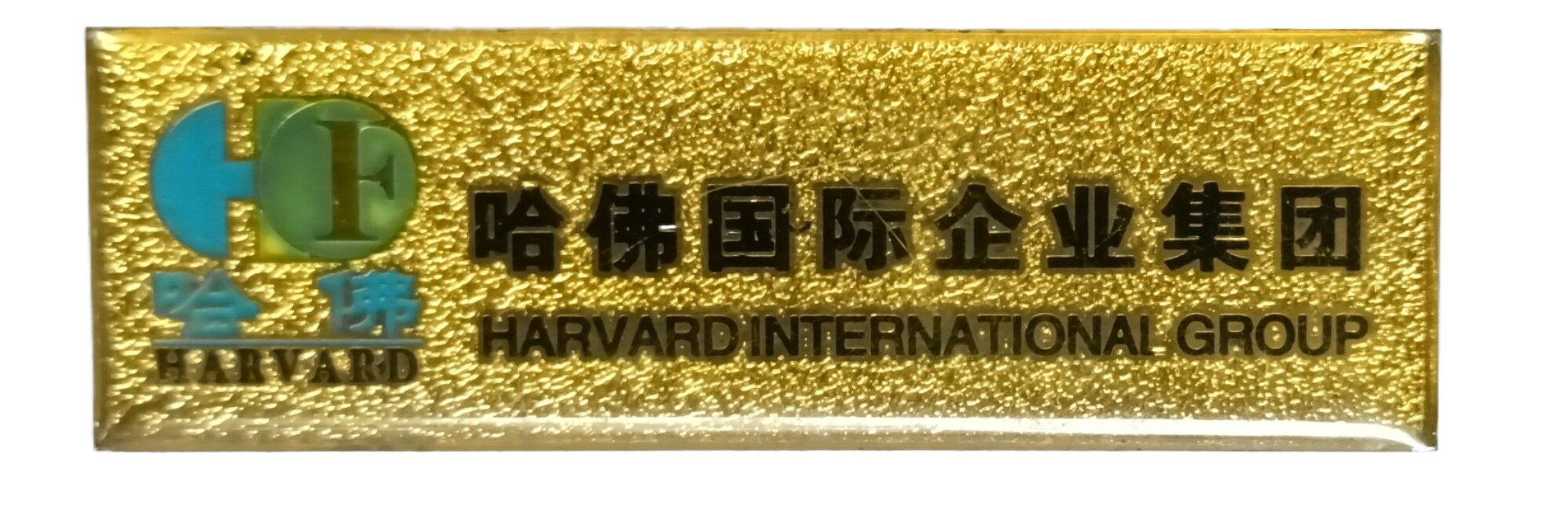 哈佛国际企业集团徽标