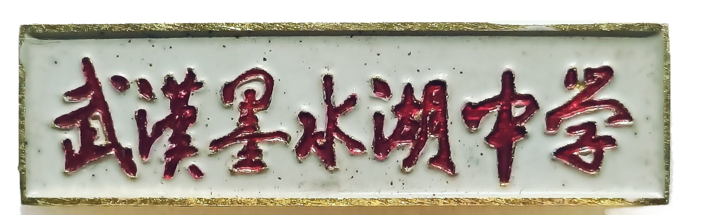 武汉墨水湖中学校徽